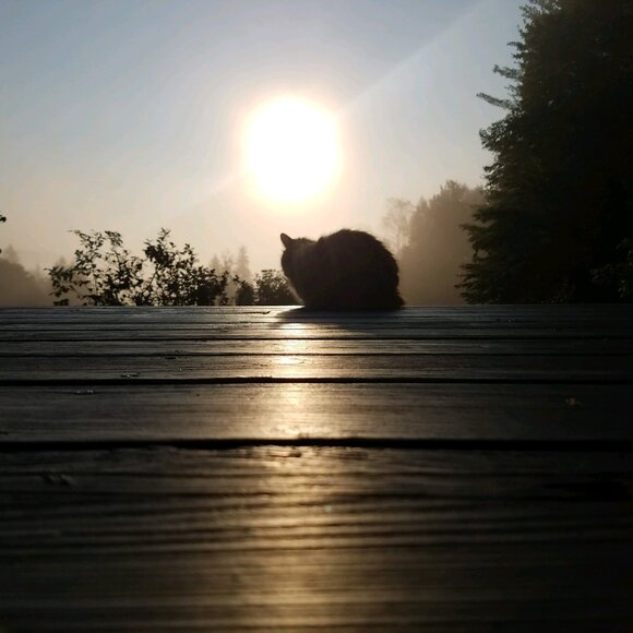 Meet your Posher - Picture 3 of 3